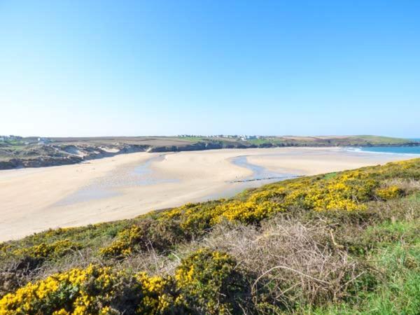 Apartamento Saltwater New Quay Exterior foto