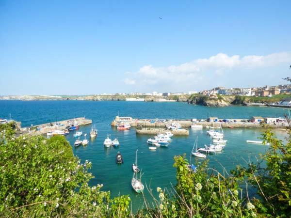 Apartamento Saltwater New Quay Exterior foto